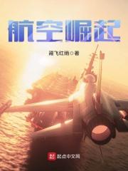 航空崛起 航空崛起