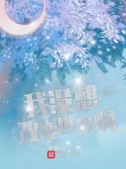 我没想改变世界啊 我没想改变世界啊
