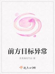 前方目标异常 前方目标异常