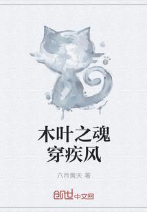 木叶之魂穿疾风 木叶之魂穿疾风