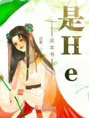 这本书是He 这本书是He