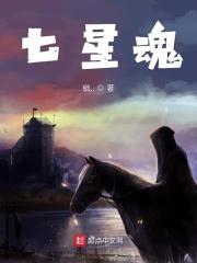 七星魂 七星魂