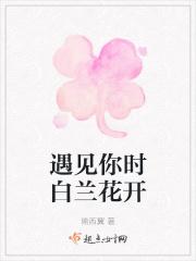 遇见你时白兰花开 遇见你时白兰花开