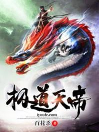 极道天帝 极道天帝