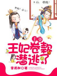 王爷,王妃卷款潜逃了 王爷,王妃卷款潜逃了
