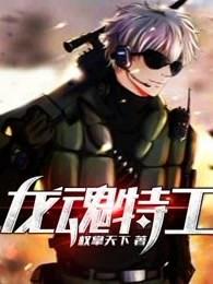 龙魂特工 龙魂特工