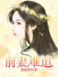 前妻难追 前妻难追