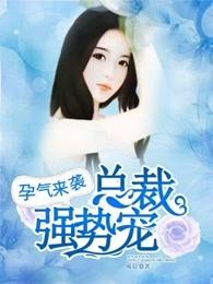 孕气来袭:总裁强势宠 孕气来袭:总裁强势宠