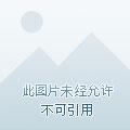 肉文女配不好当 肉文女配不好当