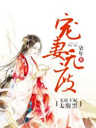 宠妻无度:无盐王妃太腹黑 宠妻无度:无盐王妃太腹黑
