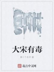 大宋有毒 大宋有毒