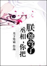 丞相,你把朕掰弯了 丞相,你把朕掰弯了