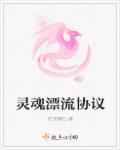灵魂漂流协议 灵魂漂流协议