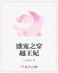 盛宠之穿越王妃 盛宠之穿越王妃