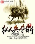 纵兵夺鼎 纵兵夺鼎