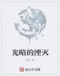 光暗的湮灭 光暗的湮灭