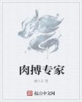 肉搏专家 肉搏专家