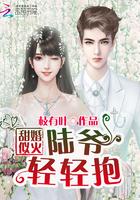 甜婚似火:陆爷,轻轻抱 甜婚似火:陆爷,轻轻抱
