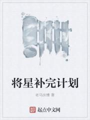 将星补完计划 将星补完计划