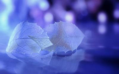 夜息 夜息