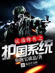 抗战烽火之护国系统 抗战烽火之护国系统