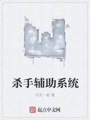 杀手辅助系统 杀手辅助系统