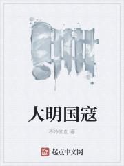 大明国寇 大明国寇