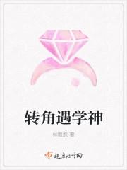 转角遇学神 转角遇学神