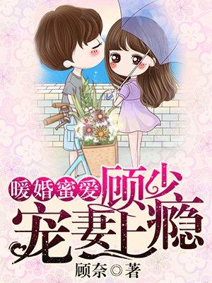 暖婚蜜爱:顾少宠妻上瘾 暖婚蜜爱:顾少宠妻上瘾