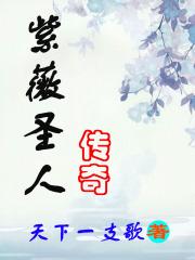 紫薇圣人传奇 紫薇圣人传奇