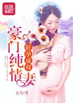 好孕成双:豪门纯情妻 好孕成双:豪门纯情妻