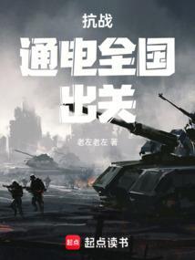 抗战:通电全国,出关 抗战:通电全国,出关