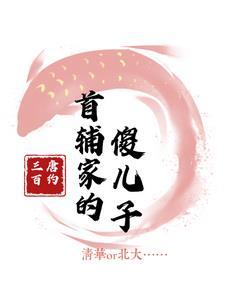 穿成首辅家的傻儿子 穿成首辅家的傻儿子