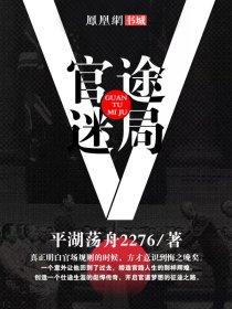 官途迷局 官途迷局