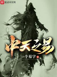 中天之易 中天之易