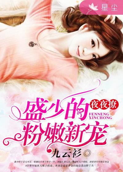 夜夜撩:盛少的粉嫩新宠 夜夜撩:盛少的粉嫩新宠
