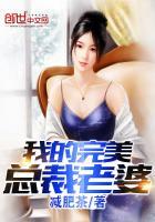 我的完美总裁老婆 我的完美总裁老婆