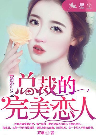 新婚告急:总裁的完美恋人 新婚告急:总裁的完美恋人