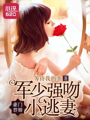 豪门替婚:军少强吻小逃妻 豪门替婚:军少强吻小逃妻