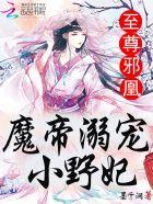 至尊邪凰:魔帝溺宠小野妃 至尊邪凰:魔帝溺宠小野妃