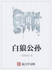 白狼公孙 白狼公孙