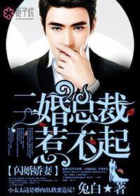 闪婚娇妻,二婚总裁惹不起! 闪婚娇妻,二婚总裁惹不起!