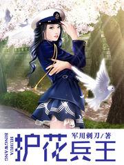 护花兵王 护花兵王