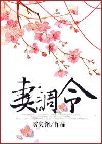 妻调令 妻调令