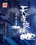 天鹏纵横 天鹏纵横