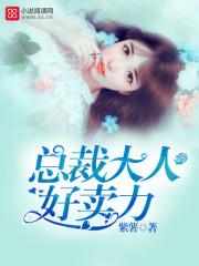 总裁大人好卖力 总裁大人好卖力
