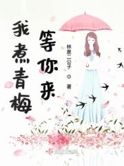 我煮青梅等你来 我煮青梅等你来
