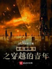 爱情公寓之穿越的青年 爱情公寓之穿越的青年