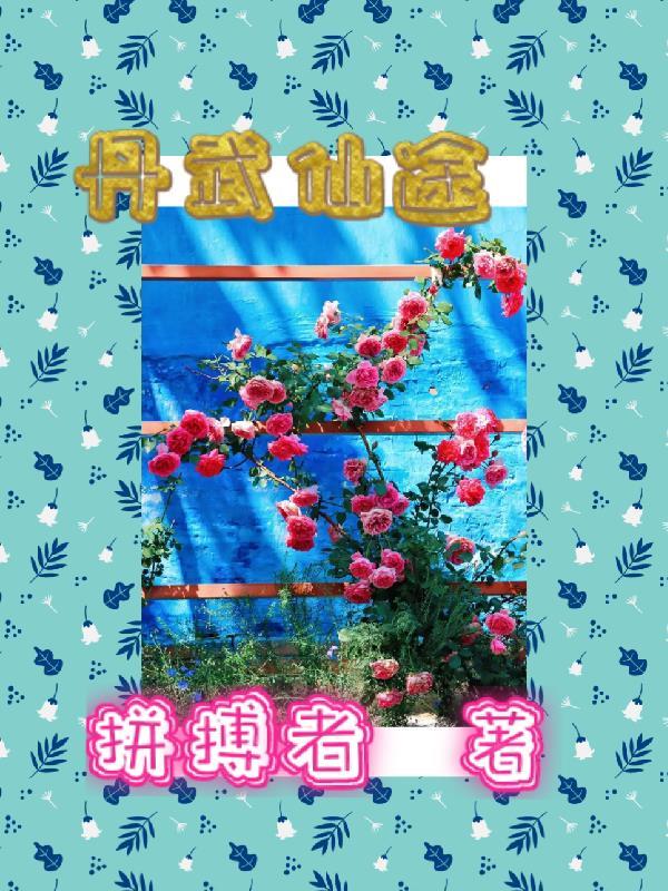 丹武仙途 丹武仙途