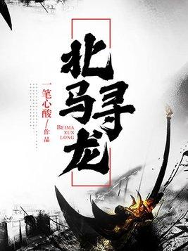 北马寻龙 北马寻龙